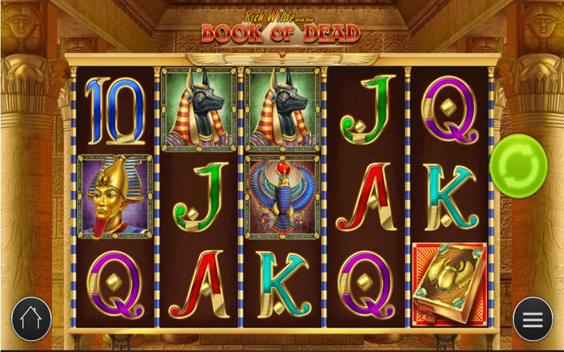 Book Of Dead Slots By Play n Go