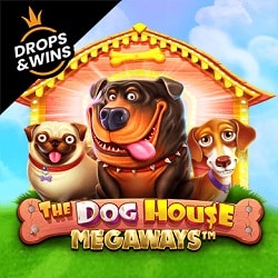 Dog House Megaways By Pragmatic Play